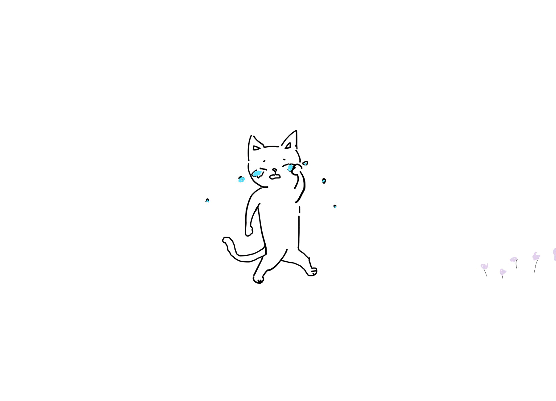 crying cat